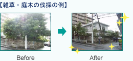 雑草・庭木伐採の例